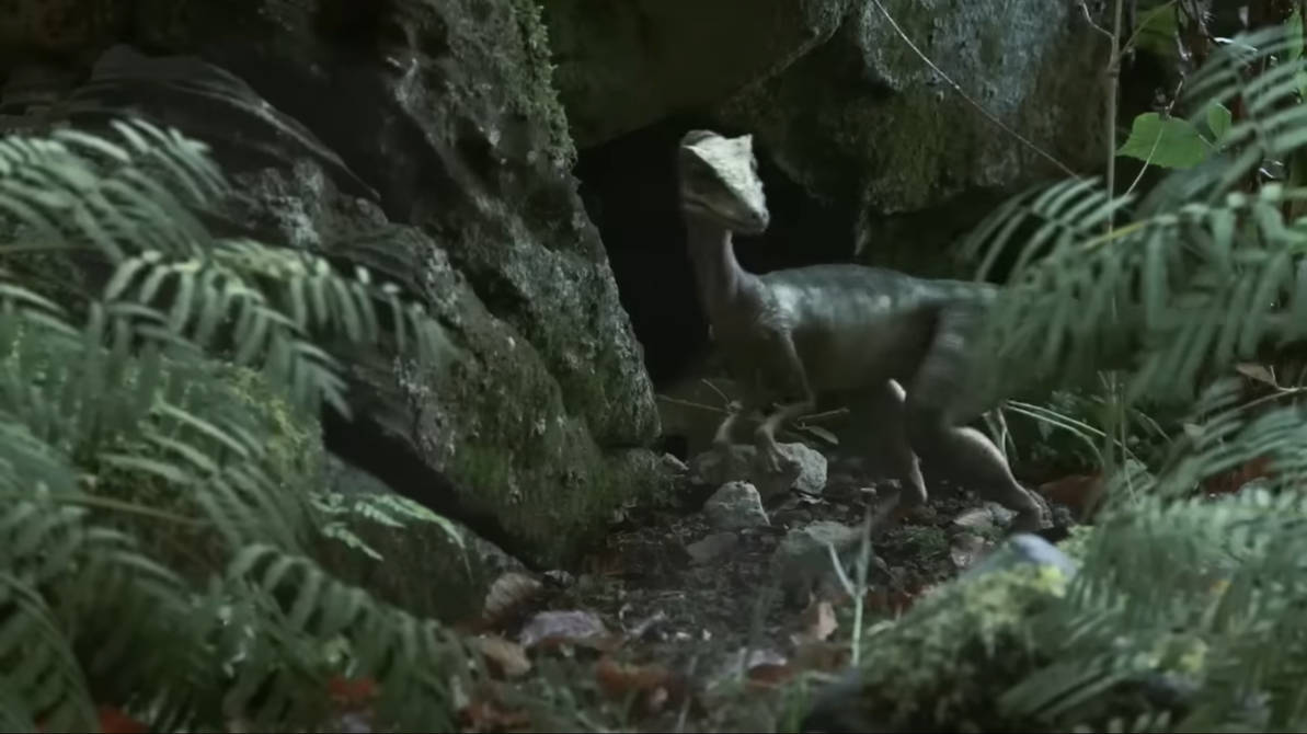 JP style Compy in a documentary!!! by Kingofallkongs on DeviantArt