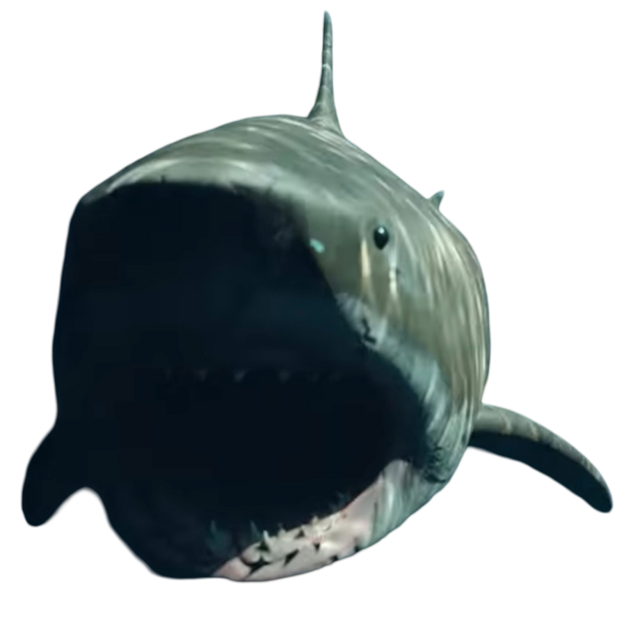 The Meg! by Kingofallkongs on DeviantArt