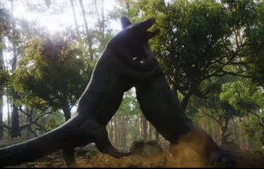 Megalania brawl