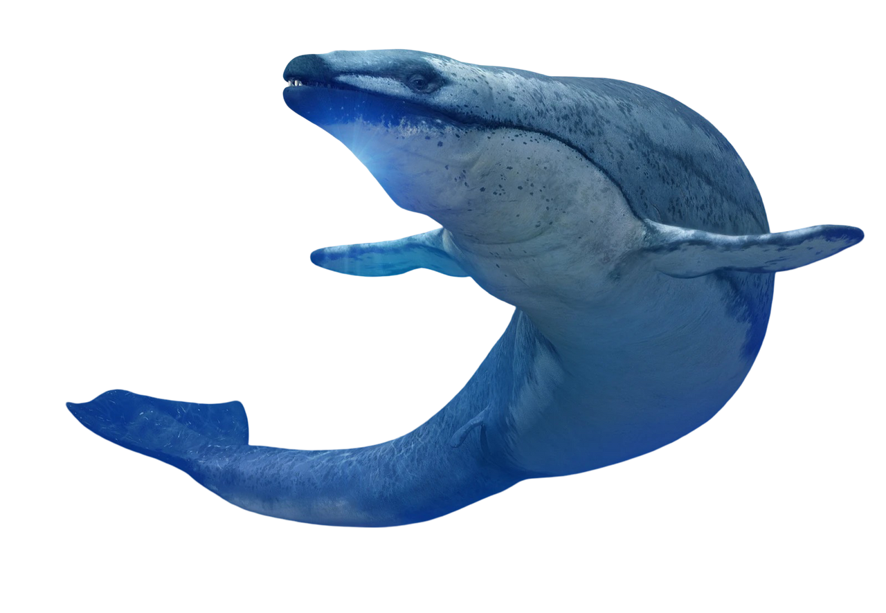 Minecraft Basilosaurus Basilosaurus by Kingofallkongs on DeviantArt