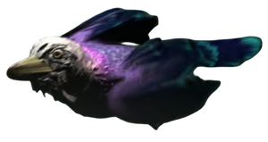 Roachcutter