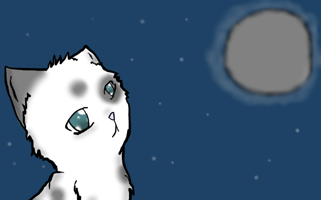 Moonpaw looking at the Moon