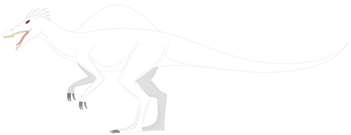 Albino Spino