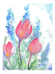 Tulips