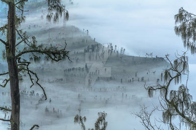 Hazy Bromo Morning