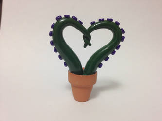 Heart Shaped Potted Tentacles