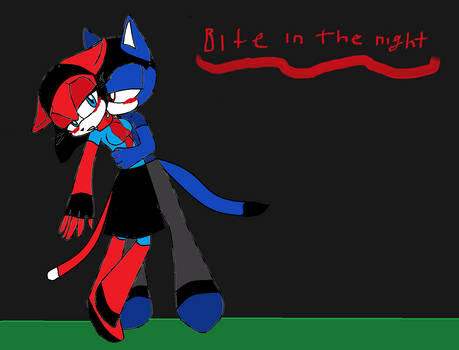 bite in the night cover