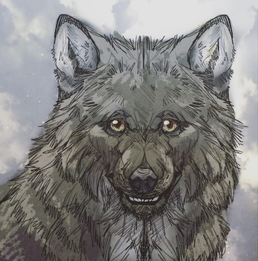 Draw wolf face meme — Weasyl