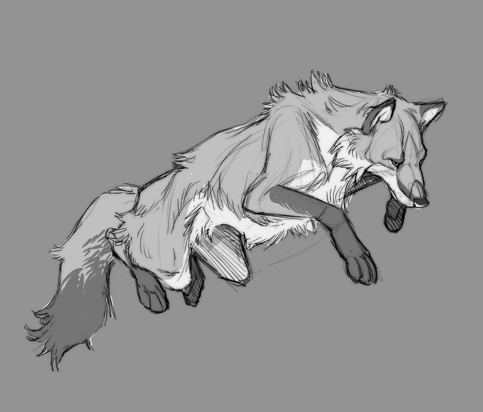 Deviantart Limber Fox Fox by firelotl on DeviantArt