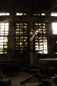 Overgrown factory windows