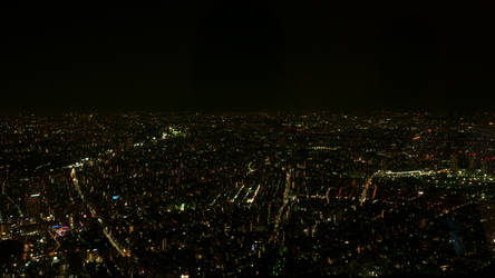 Tokyo at night