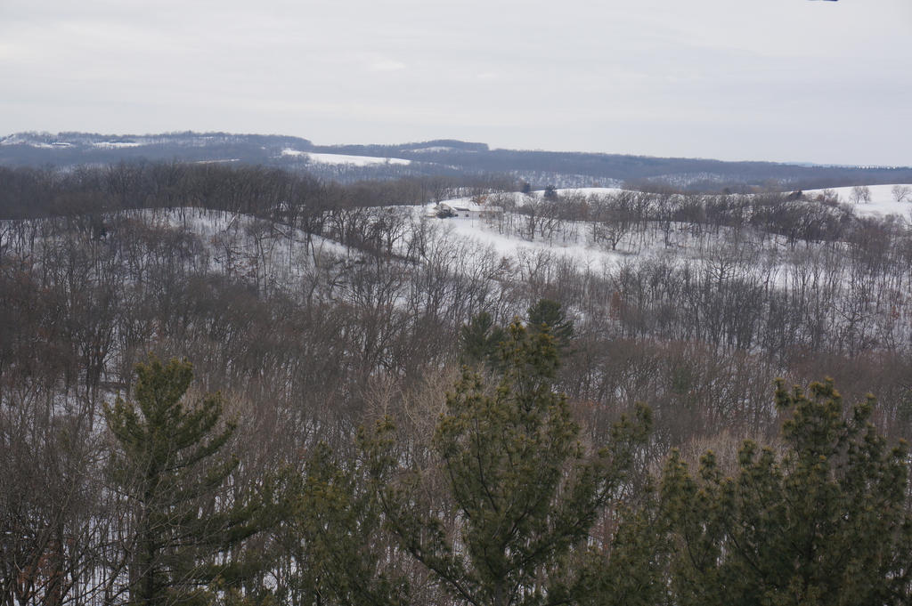 View From Infinity Room At House On The Rock By Wisscout On