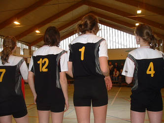 Volley ball forever