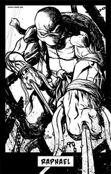 TMNT: Raphael