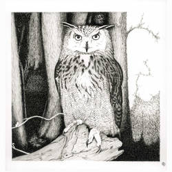 Owls #2