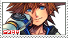 Sora - Kingdom Hearts Sora - Kingdom Hearts