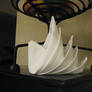 Bird of Paradise Fold Photo 1