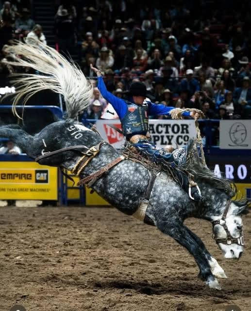 Saddle Bronc Riding by CowboyTom1991 on DeviantArt