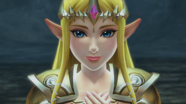 Hyrule Warriors Definitive Edition -NSW by NGMRX on DeviantArt