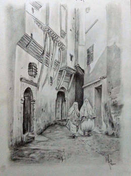 Rue De la Mer Rouge, Casbah, Algeria 1880's
