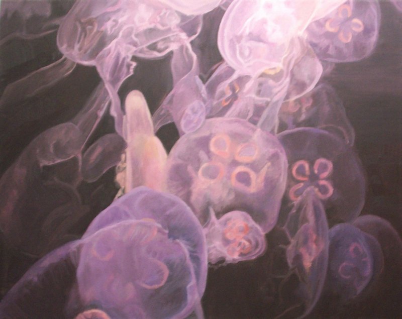 Jellyfish