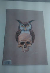 Owl and a Skull