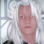 Xemnas the superior... XD