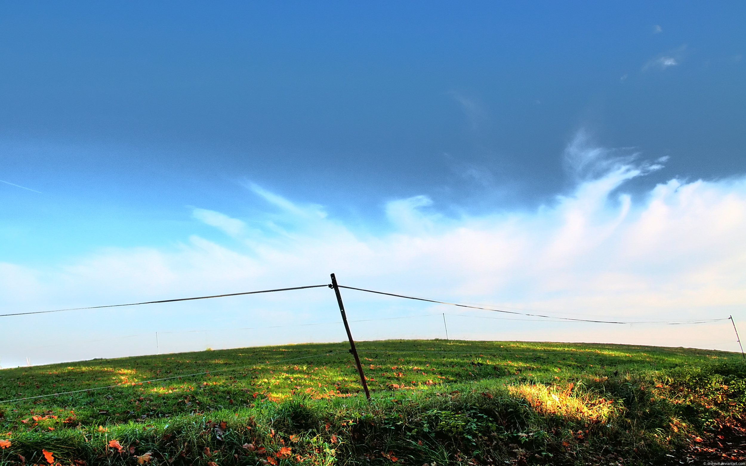 Meadow -1- HDR