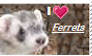 Ferret Stamp 8D