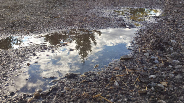 Mid Day Puddle
