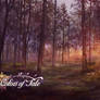 Forest glade - dusk [COF]