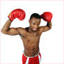Young Boxer 2