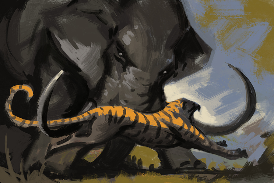 Tiger vs Elephant