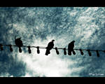 birds on a wire by Rlew