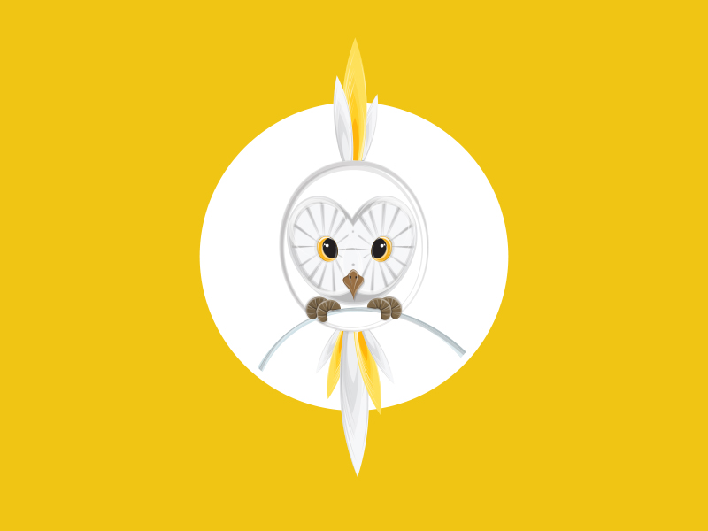 Owl Vector