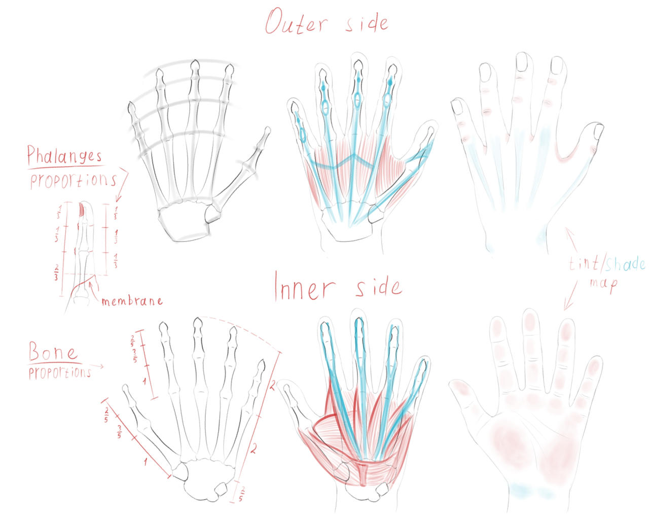 Learning Hand Geometry Hands practice 1 by BeakClaude on DeviantArt