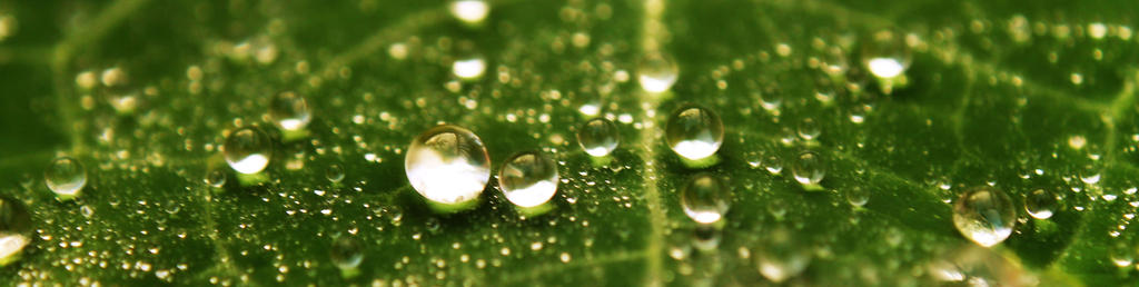 water drops 10