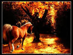 Autumn chestnut by corruptangel315