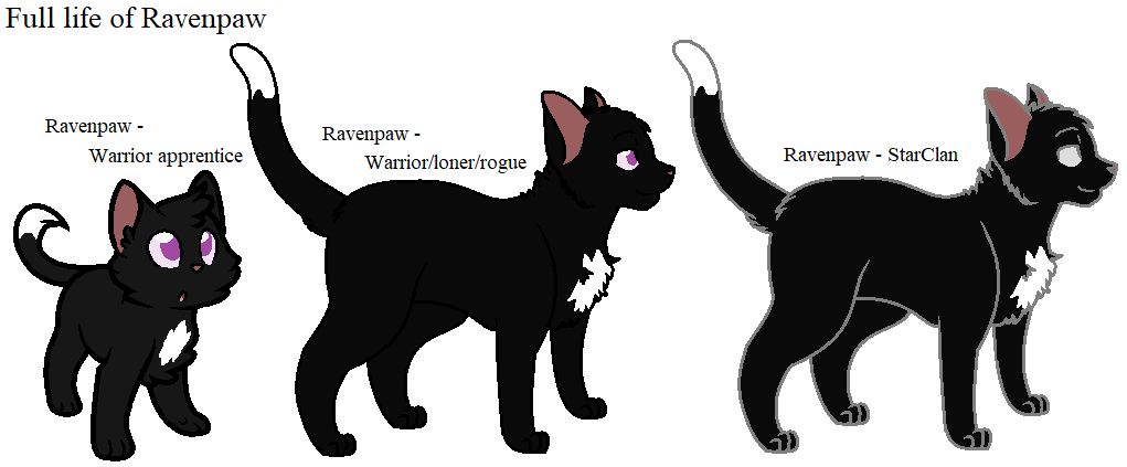Ravenpaw (warrior cats) by vwolf5 on DeviantArt