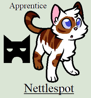 Nettlespot, Warriors Wiki