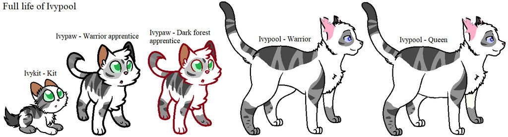 Ivypool Original Full life of Ivypool by Warrior-SpaceRanger on DeviantArt