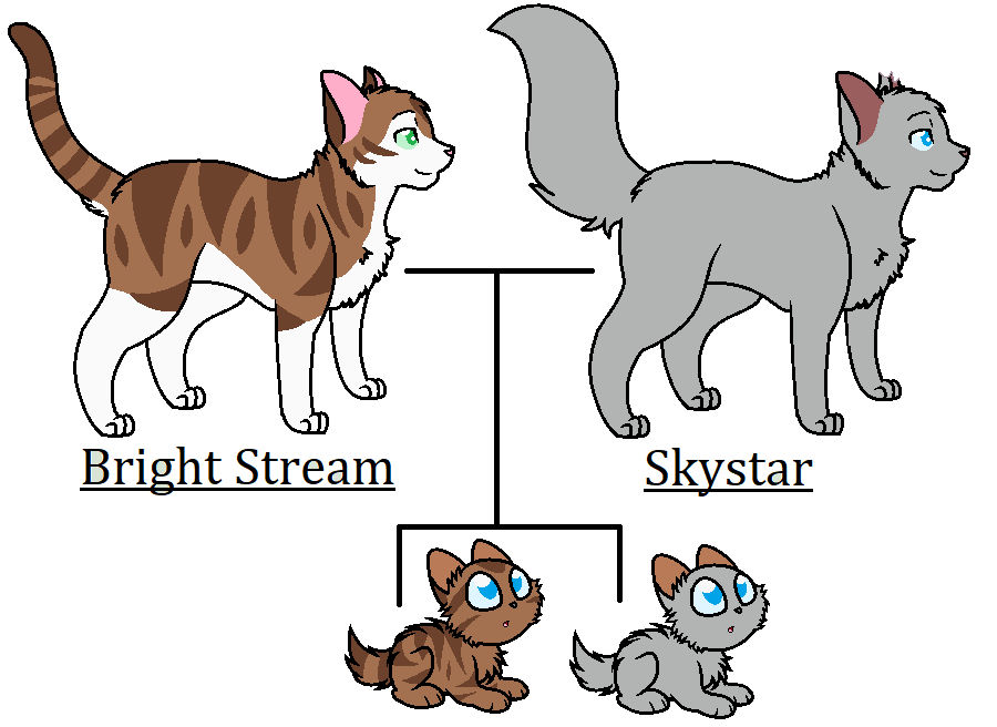 Bright Stream Bright stream's kits by Warrior-SpaceRanger on DeviantArt