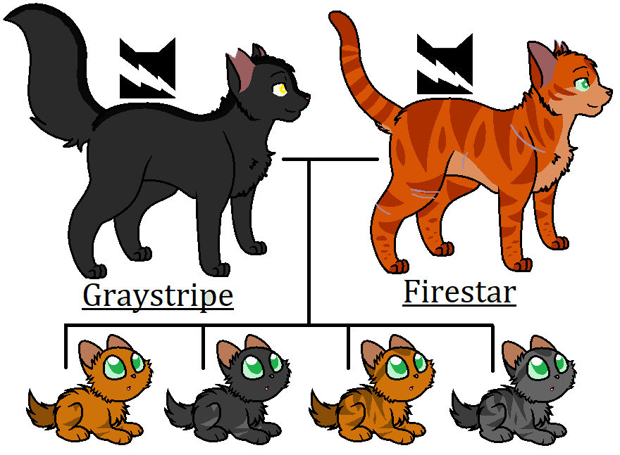Graystripe and Firestar's kits by SpaceRanger-AnAs on DeviantArt