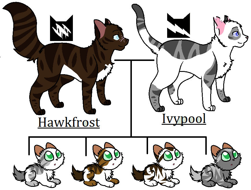 Hawkfrost and Ivypool's kits by SpaceRanger-AnAs on DeviantArt