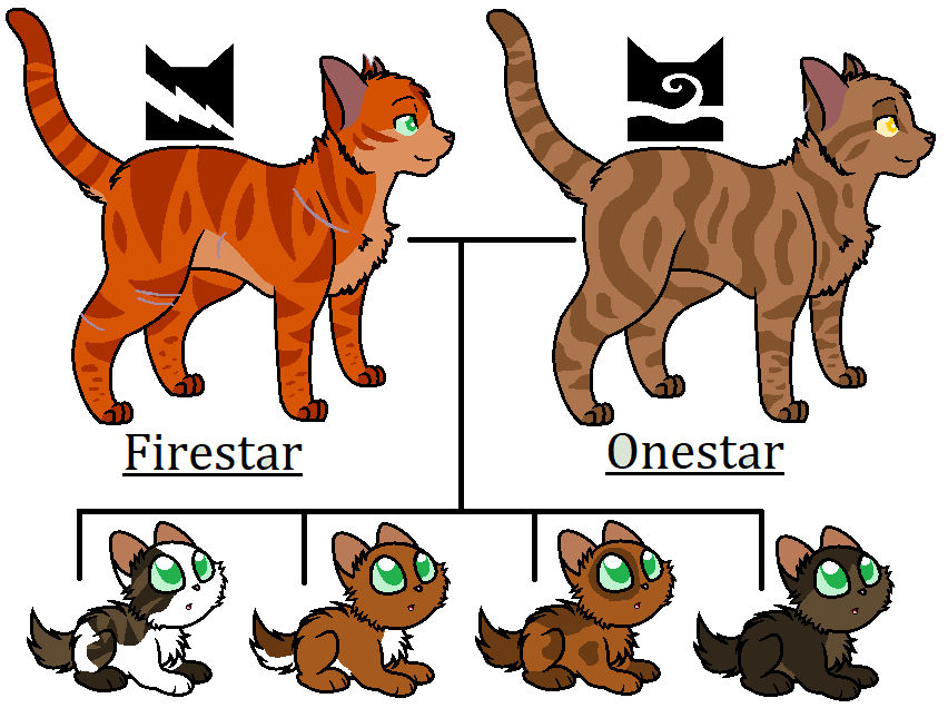 Firestar and Onestar's kits by Warrior-SpaceRanger on DeviantArt