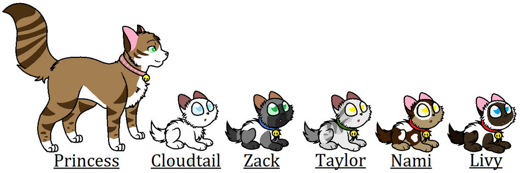 Princess Kits by Warrior-verse-gal on DeviantArt