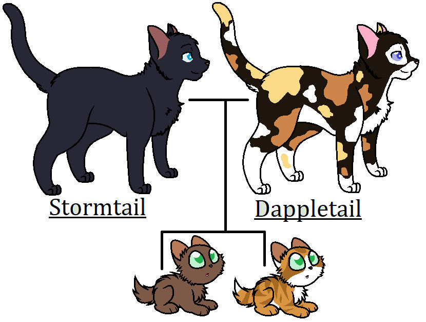 Stormtail Kits for Stormtail and Dappletail by SpaceRanger-AnAs on DeviantArt