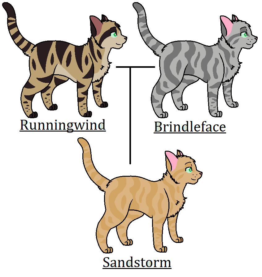 Warrior Cats Incorrect Genetics & Explanation