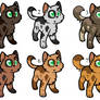 Tri-coloured cats 4 sale