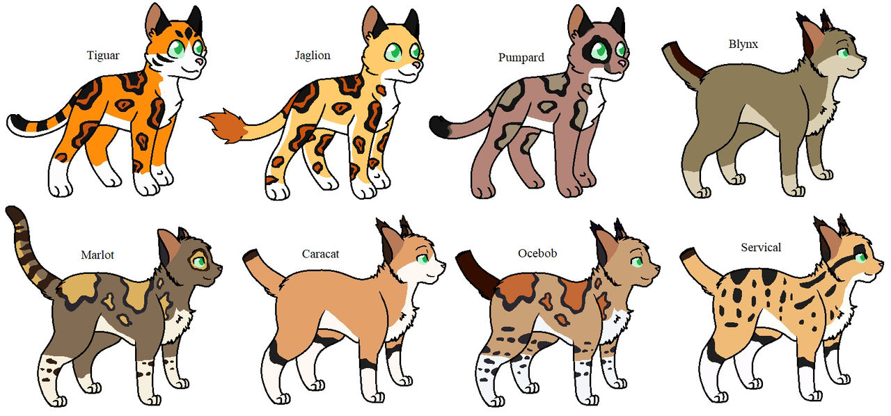 Polymorph Cat Some new hybrid cats by SpaceRanger-AnAs on DeviantArt